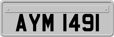 AYM1491