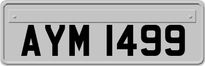 AYM1499