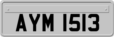 AYM1513