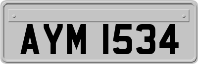 AYM1534