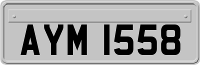AYM1558
