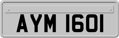 AYM1601