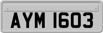 AYM1603