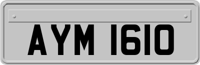 AYM1610