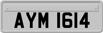 AYM1614