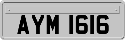 AYM1616
