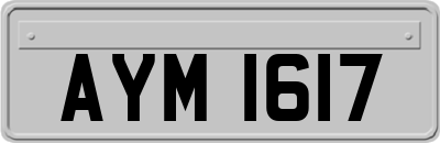 AYM1617