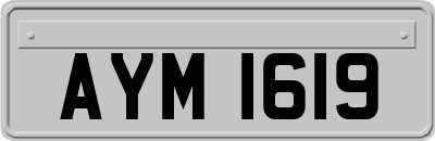 AYM1619