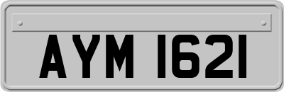 AYM1621