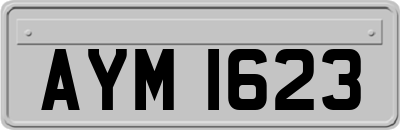 AYM1623