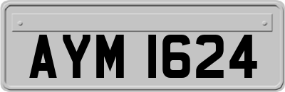 AYM1624