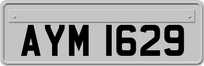AYM1629