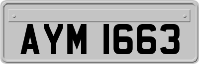 AYM1663