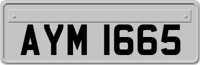 AYM1665