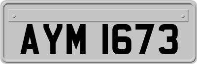 AYM1673