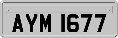 AYM1677