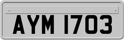 AYM1703