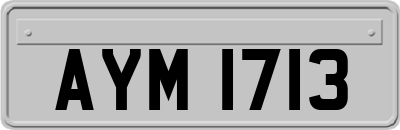 AYM1713