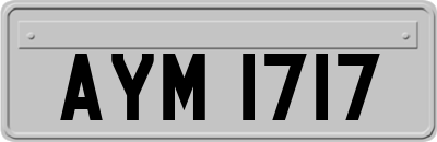 AYM1717