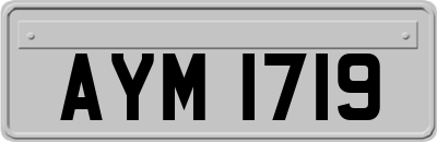 AYM1719