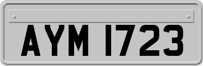 AYM1723