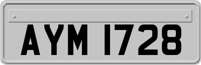 AYM1728