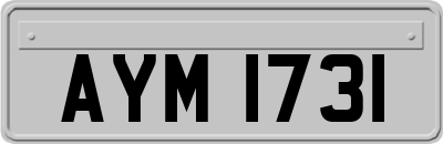 AYM1731