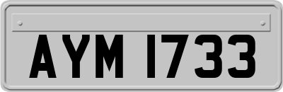 AYM1733