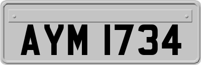 AYM1734