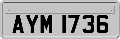AYM1736