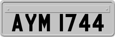 AYM1744