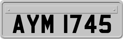 AYM1745