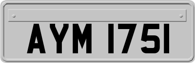 AYM1751