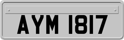 AYM1817