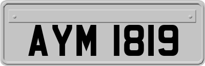 AYM1819