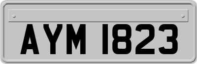 AYM1823
