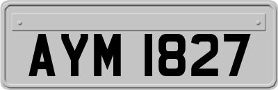 AYM1827