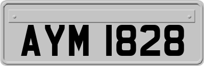 AYM1828