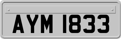 AYM1833
