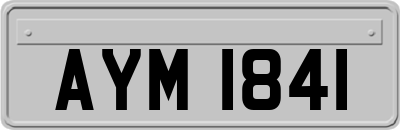 AYM1841