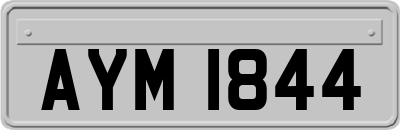 AYM1844