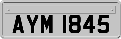 AYM1845