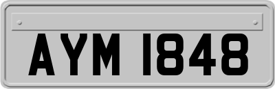 AYM1848