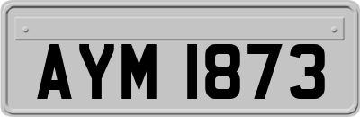 AYM1873