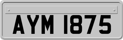 AYM1875