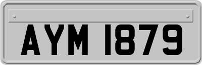 AYM1879
