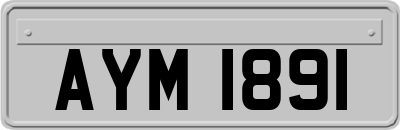 AYM1891