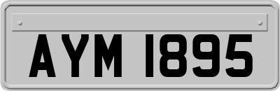AYM1895