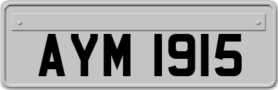 AYM1915