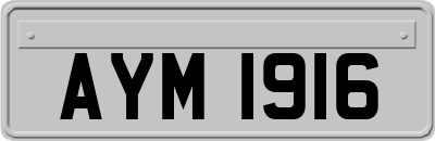 AYM1916